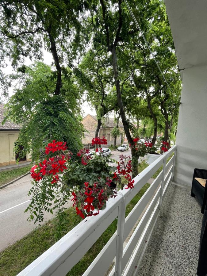 Apartman Venera Sombor Exterior photo